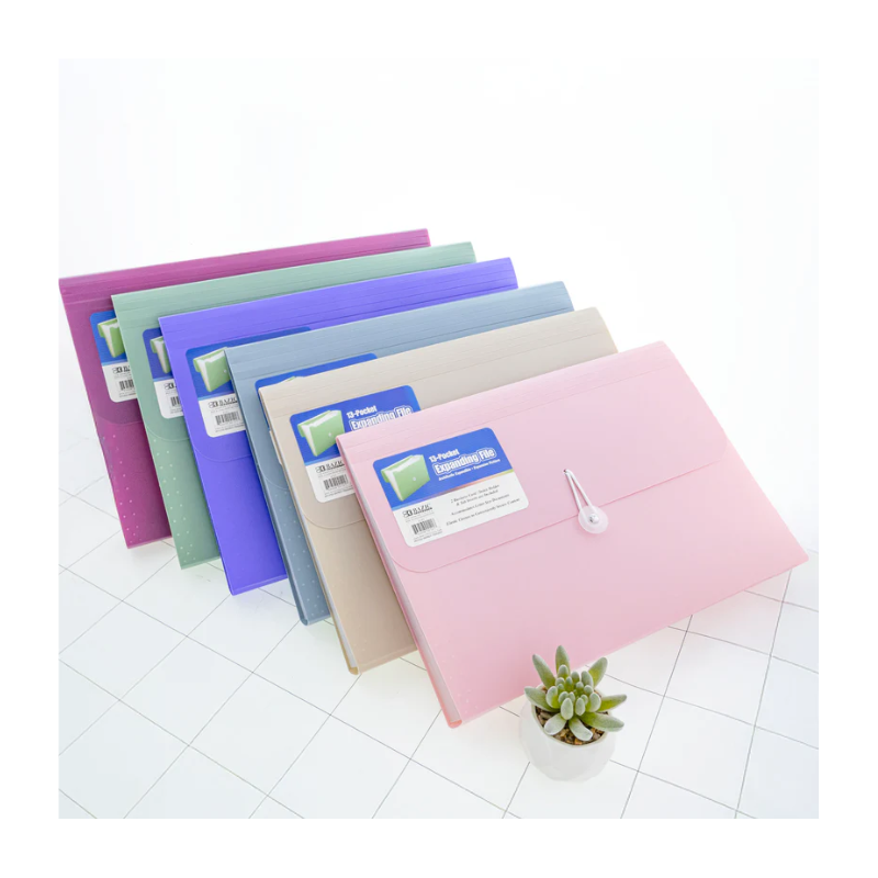 BAZIC Morandi 12-Pocket Letter Size Poly Expanding File