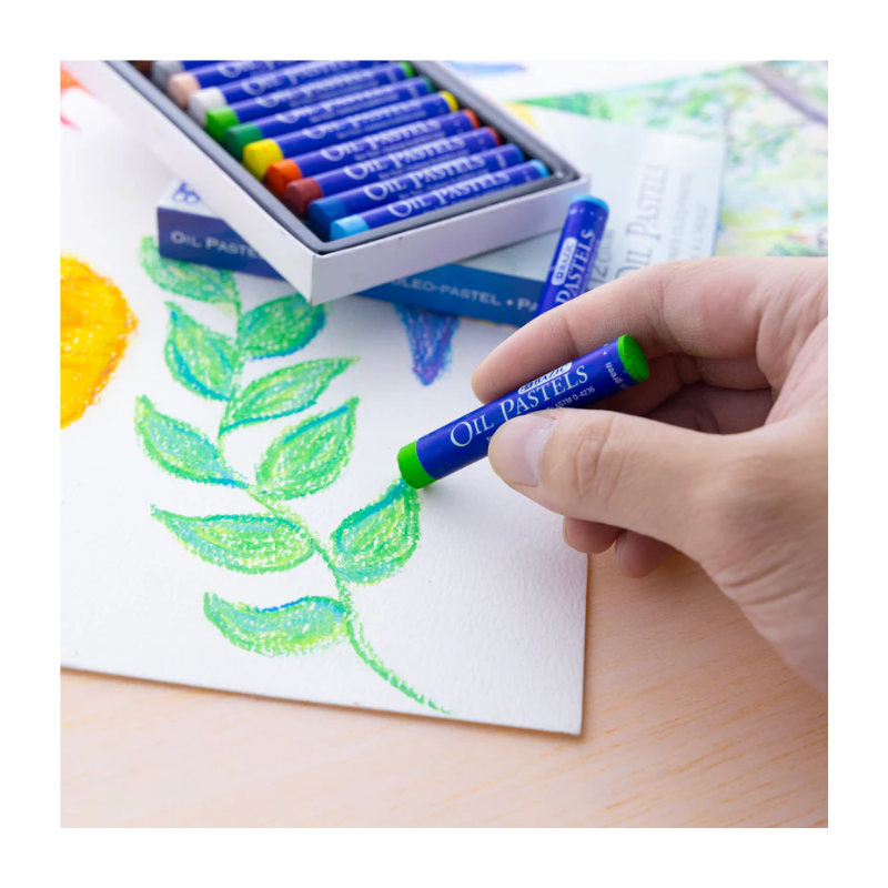 BAZIC Oil Pastels (12/Pack)