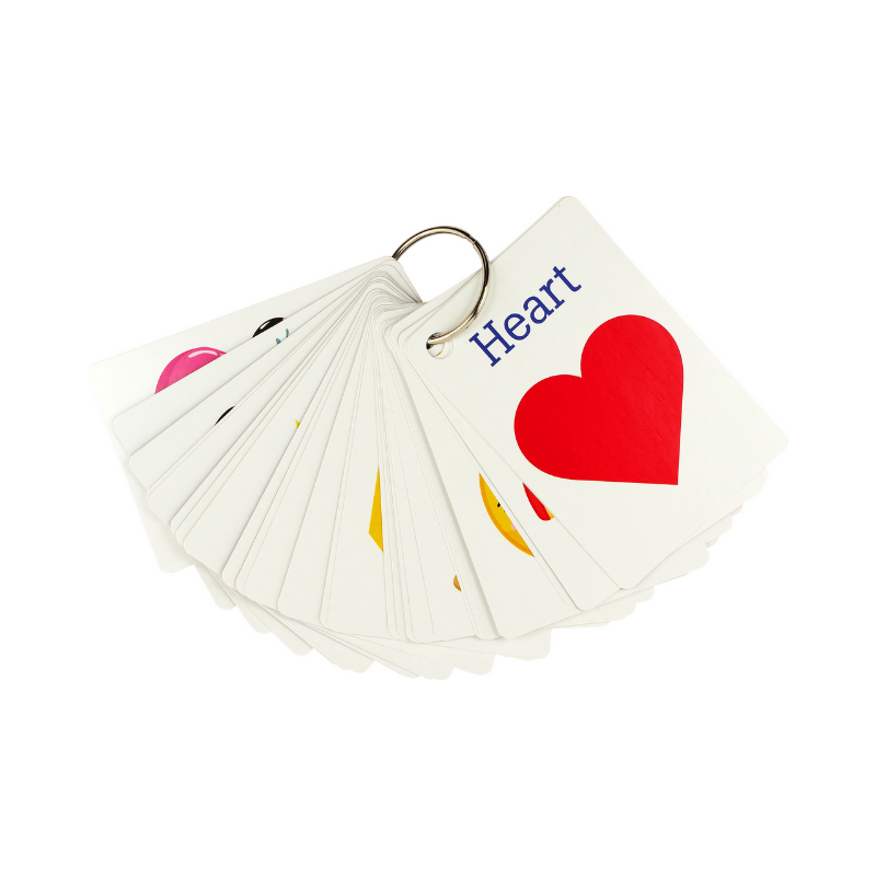 Peter Pauper Flash Cards Value Set - Pack of 4