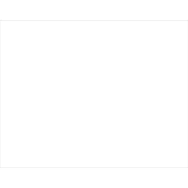 BAZIC 22" X 28" White Poster Board
