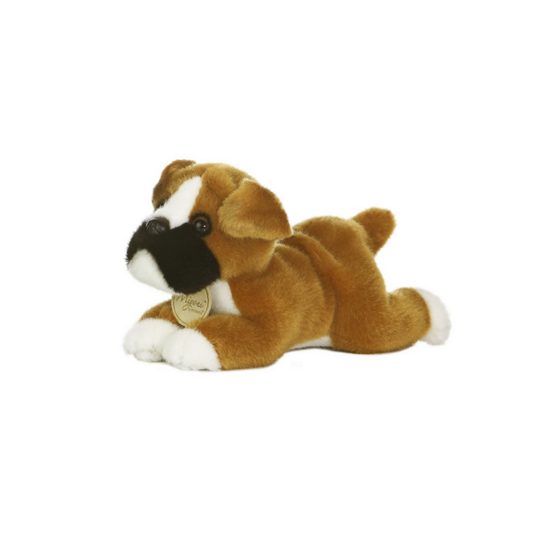 Aurora 8ƒ?? Boxer