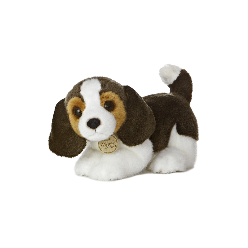Aurora 11ƒ?? Beagle Pup