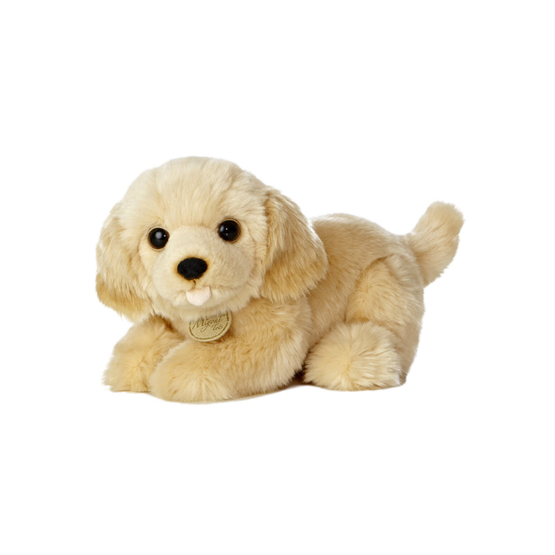 Aurora 10ƒ?? Golden Retriever Pup