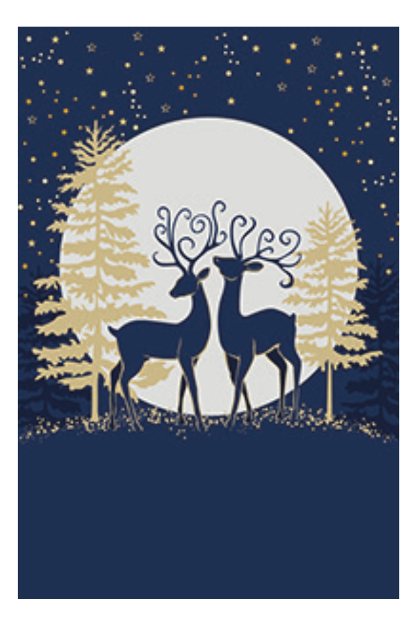Christmas Greeting Cards - 12cm x 18cm