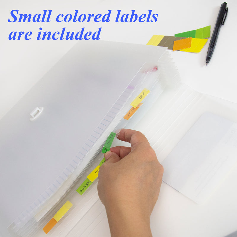 BAZIC 13 Pocket Translucent Poly Letter Size Expanding File