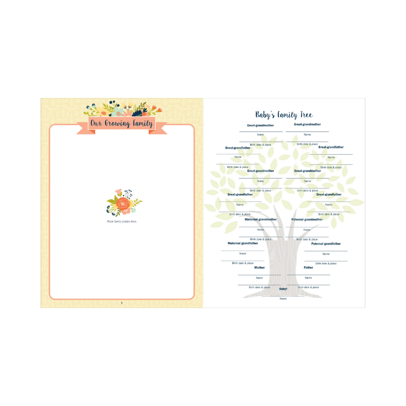 Peter Pauper Baby's Book: The First Five Years