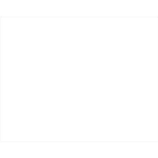BAZIC 22" X 28" White Poster Board
