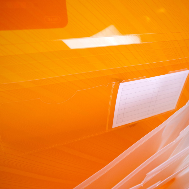 BAZIC Translucent 7-Pocket Letter Size Poly Expanding File