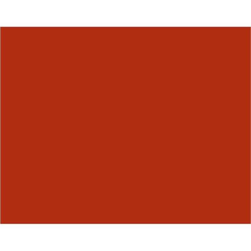 BAZIC 22" X 28" Coloured Poster Board