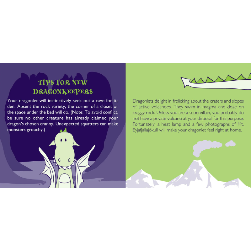 Peter Pauper Dragon Rescue Kit