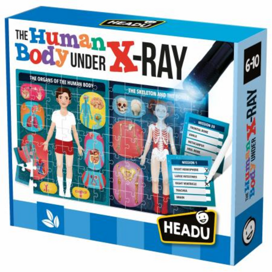 Headu The Human Body under X-Ray